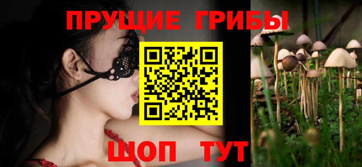 Галлюциногенные грибы MAGIC MUSHROOMS  Вход с VPN  Тосно  Псилоцибиновые грибы MAGIC MUSHROOMS 