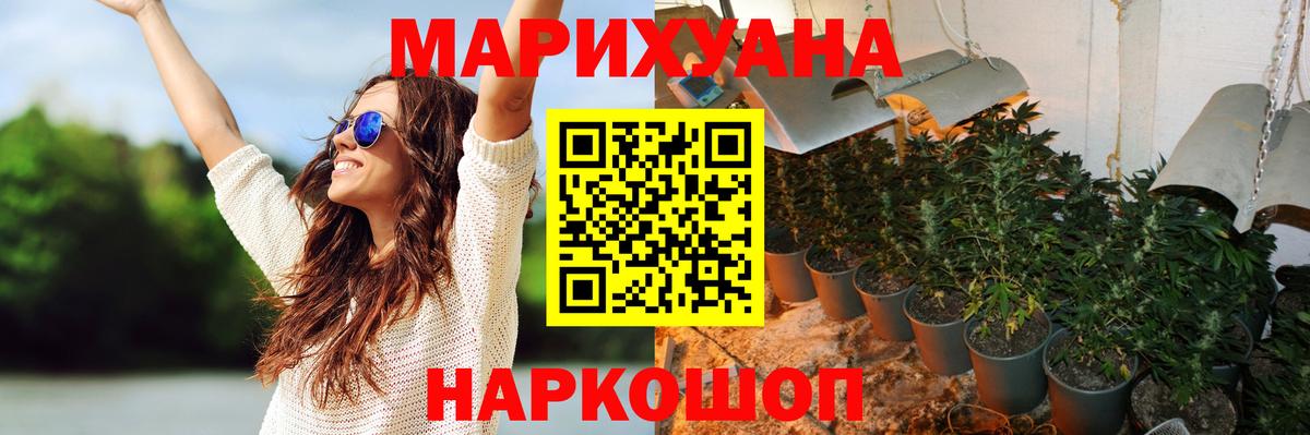 Бошки Шишки MAZAR Тосно